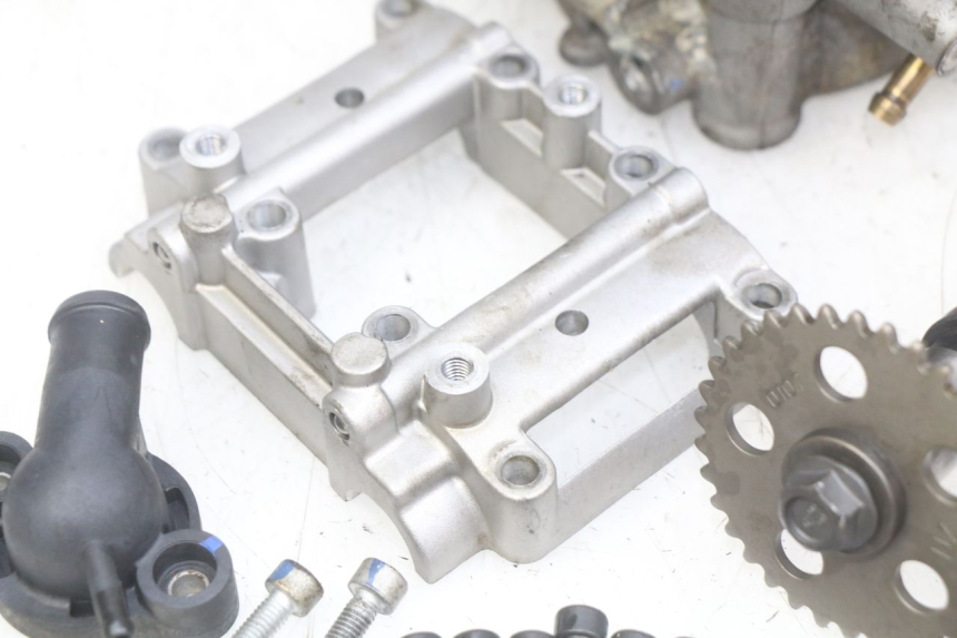 photo de TESTATA APRILIA SCARABEO LIGHT 125 (2007 - 2011) - Primo piano tecnico