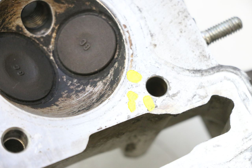 photo de TESTATA HONDA SCV LEAD 100 (2003 - 2007) - Panoramica del profilo