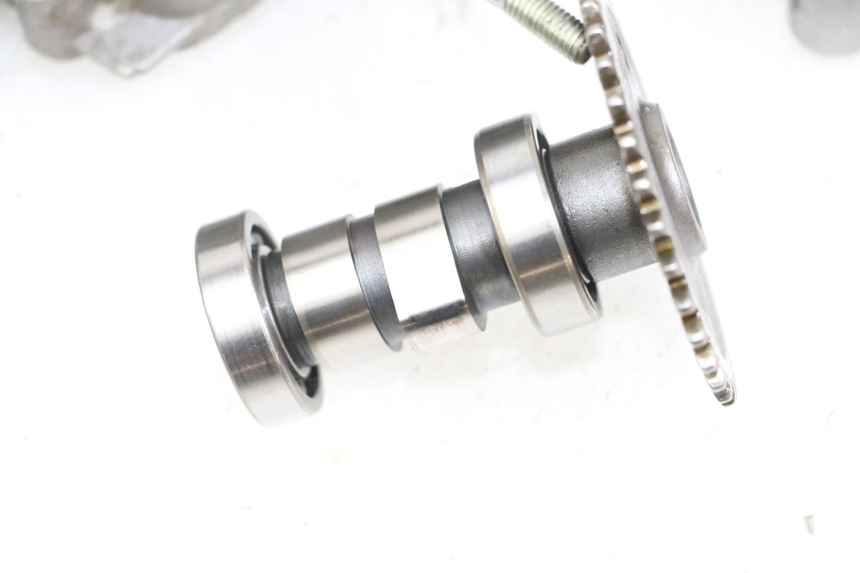 photo de Testata JM MOTORS SUNNY 50 (2017 - 2020) - Marcature e riferimenti originali