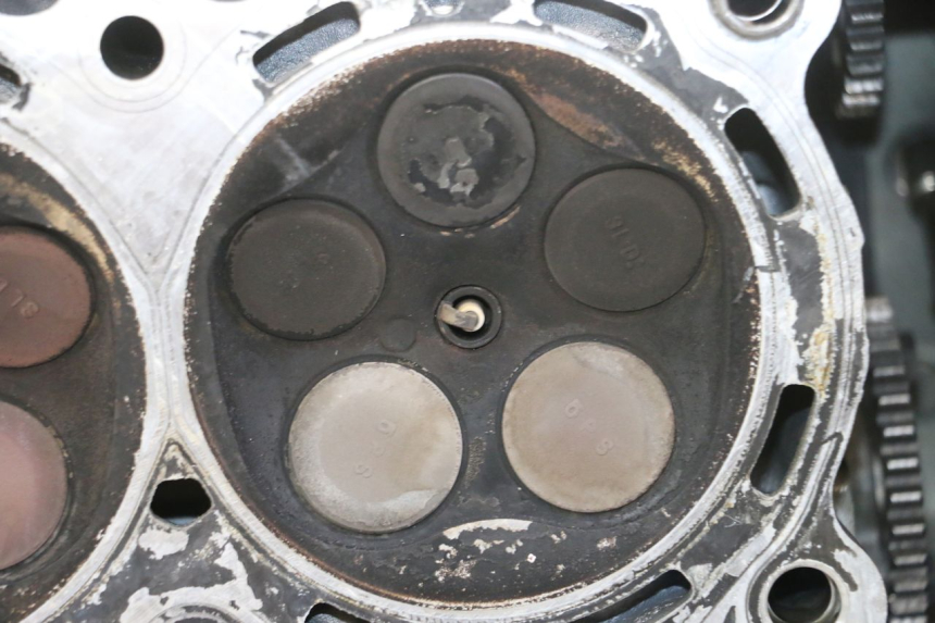 photo de Testata YAMAHA TDM ABS 900 (2002 - 2014) - Vista d'insieme del prodotto