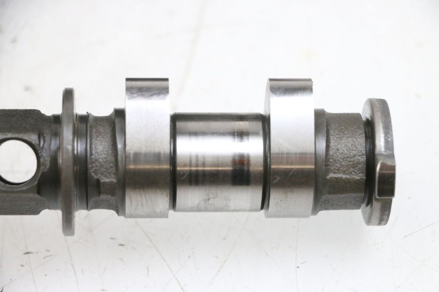 photo de Testata YAMAHA TDM ABS 900 (2002 - 2014) - Panoramica del profilo