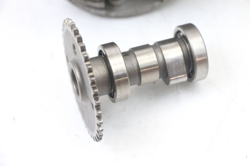 photo de TESTATA TNT MOTOR ROMA 10' 4T 50 (2019 - 2022) - Altra vista dell'articolo