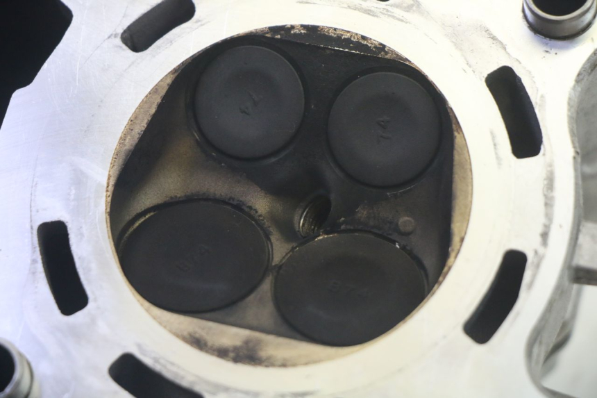 photo de TESTATA YAMAHA TRICITY 300 (2020 - 2024) - Angolazione alternativa