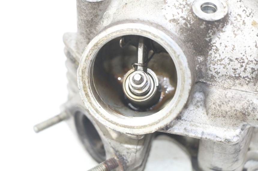 photo de TESTATA PEUGEOT VIVACITY NEW 4T 50 (2008 - 2017) - Marcature e riferimenti originali