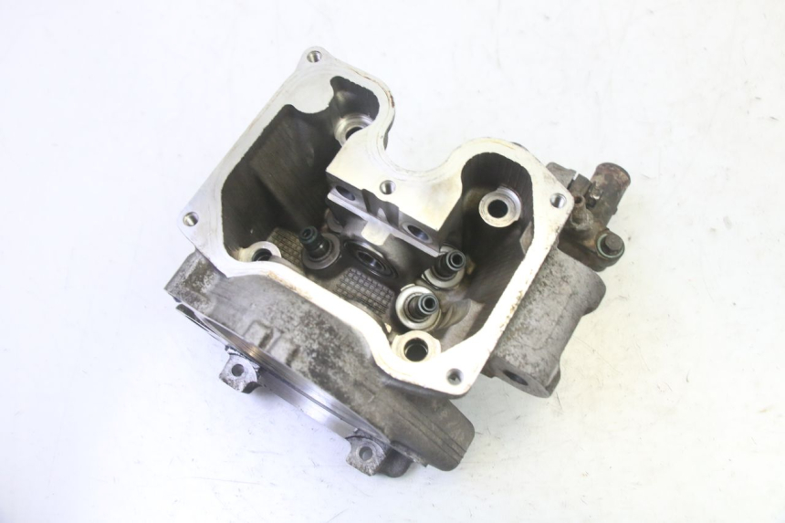 photo de TESTATA YAMAHA X-MAX XMAX 125 (2010 - 2013) - Vista d'insieme del prodotto