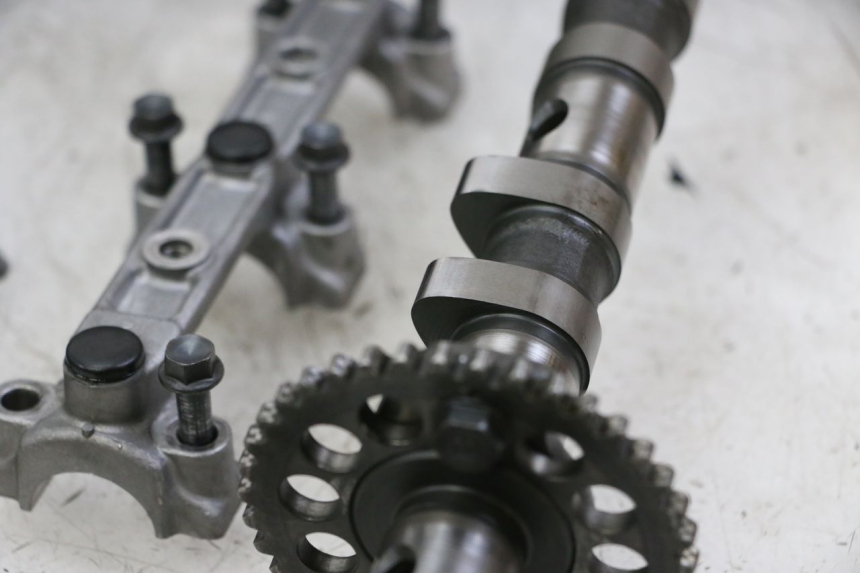 photo de TESTATA YAMAHA FZS FAZER 600 (2001 - 2003) - Panoramica del profilo