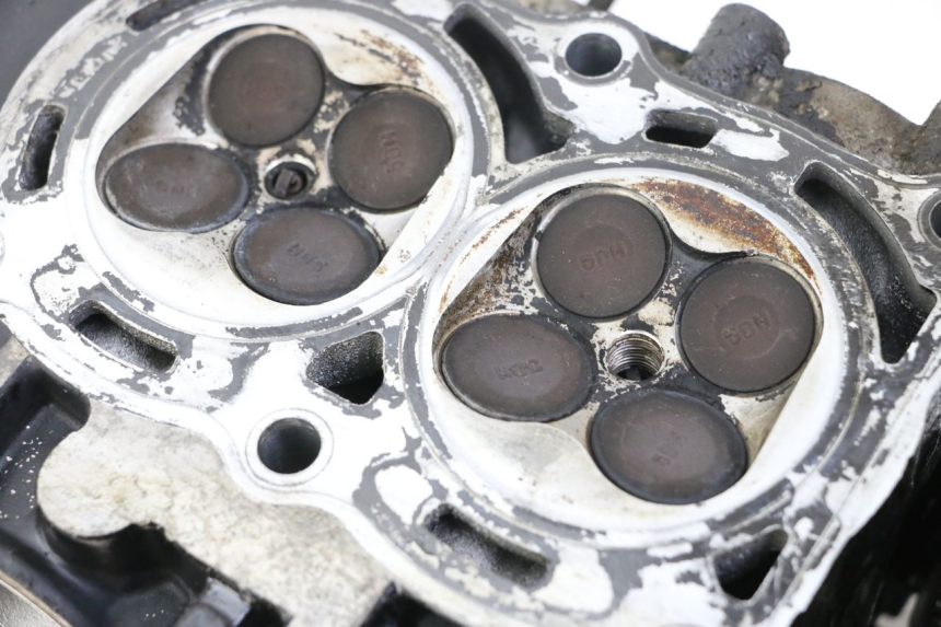 photo de TESTATA YAMAHA FZS FAZER 600 (2001 - 2003) - Primo piano tecnico