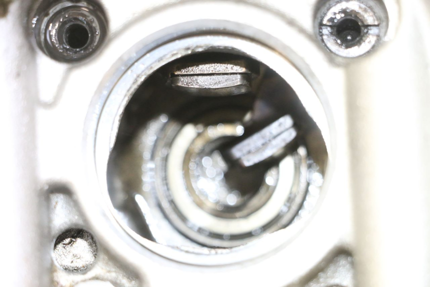 photo de TESTATA YAMAHA YFM R RAPTOR 250 (2008 - 2014) - Zoom sullo stato d'uso