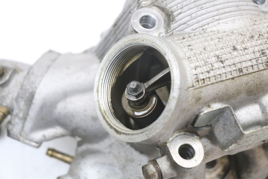 photo de TESTATA YAMAHA YP MAJESTY 125 (2002 - 2006) - Stato della superficie e materiale