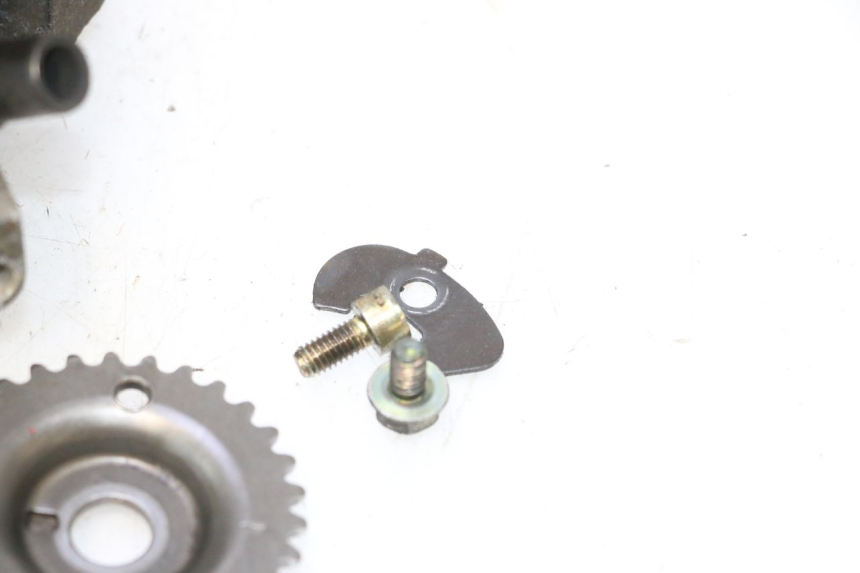 photo de TESTATA YAMAHA YP MAJESTY 125 (2002 - 2006) - Altra vista dell'articolo