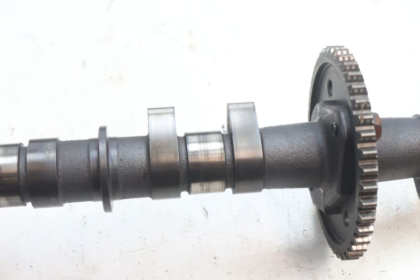 photo de TESTATA KAWASAKI ZZR 600 (1995 - 2004) - Caratteristiche distintive