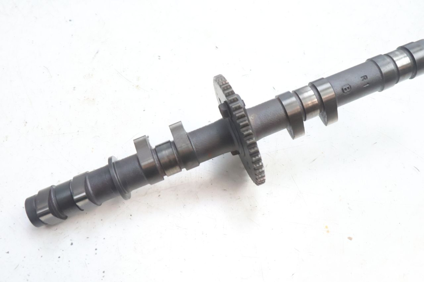 photo de TESTATA KAWASAKI ZZR 600 (1995 - 2004) - Altra angolazione