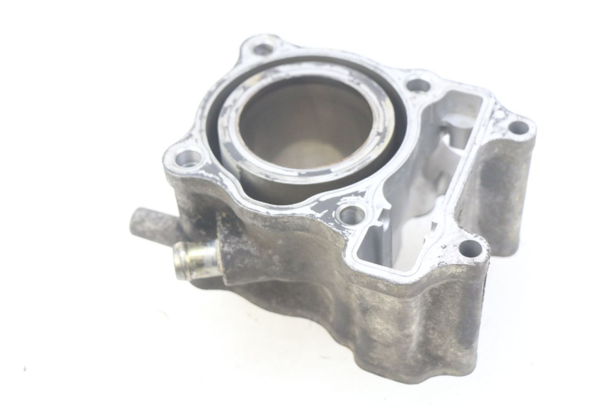 photo de CILINDRO HONDA FES PANTHEON 125 (2003 - 2007) - Vista principale