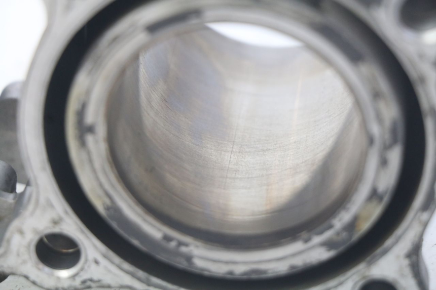 photo de CILINDRO HONDA FES PANTHEON 125 (2003 - 2007) - Primo piano tecnico