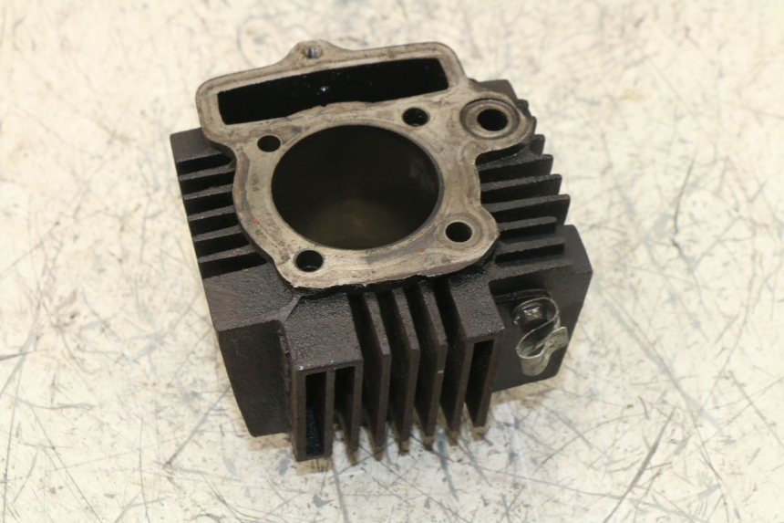 photo de CILINDRO PANTHERA PANTHERA 110 (2010 - 2017) - Caratteristiche distintive