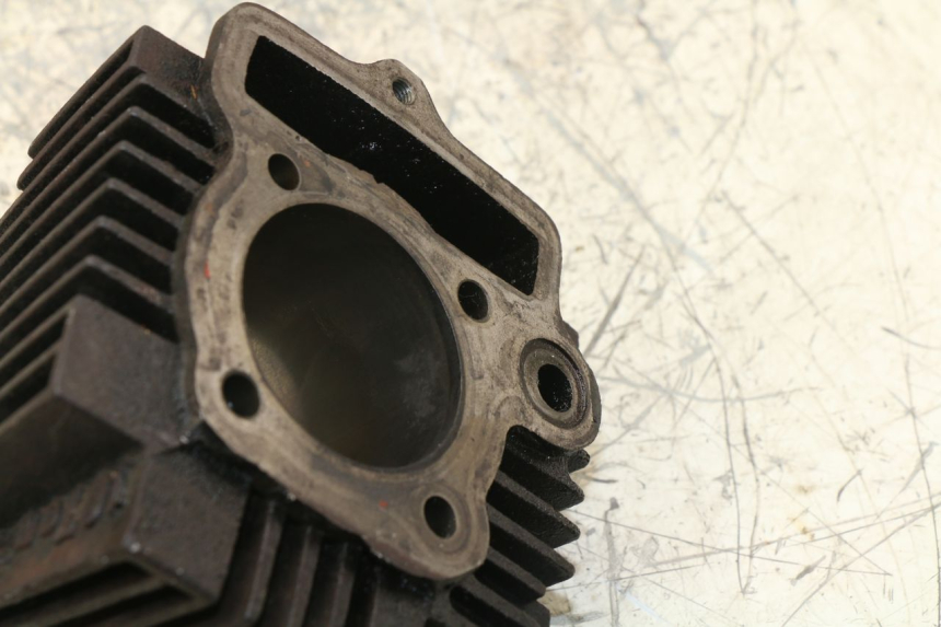 photo de CILINDRO PANTHERA PANTHERA 110 (2010 - 2017) - Altra angolazione