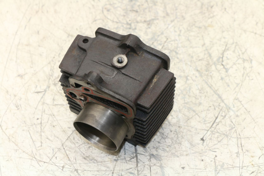 photo de CILINDRO PANTHERA PANTHERA 110 (2010 - 2017) - Vista d'insieme del prodotto