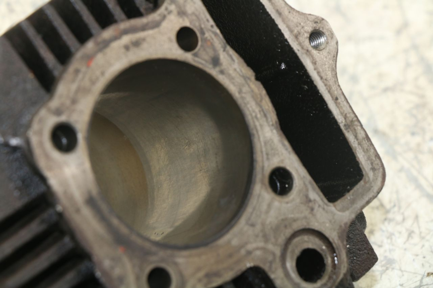 photo de CILINDRO PANTHERA PANTHERA 110 (2010 - 2017) - Stato della superficie e materiale