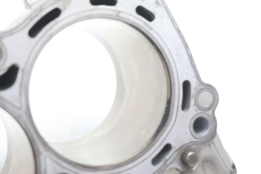 photo de CILINDRO PISTONE KAWASAKI ER-6 ER6 N 650 (2005 - 2009) - Panoramica del profilo