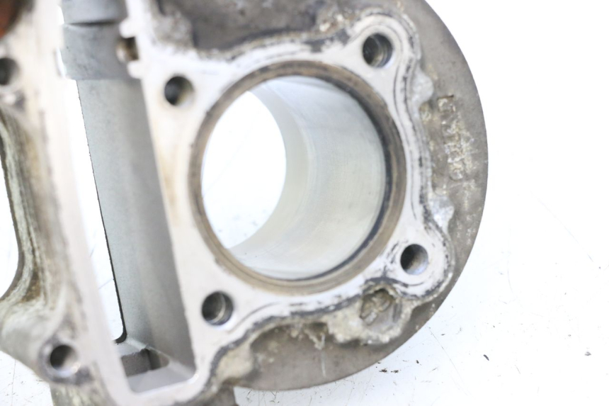 photo de CILINDRO PISTONE JM MOTORS F45i 4T 50 (2020 - 2023) - Stato della superficie e materiale