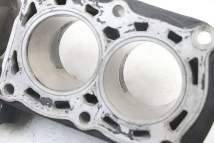 photo de CILINDRO PISTONE YAMAHA FZS FAZER 600 (2001 - 2003) - Panoramica del profilo