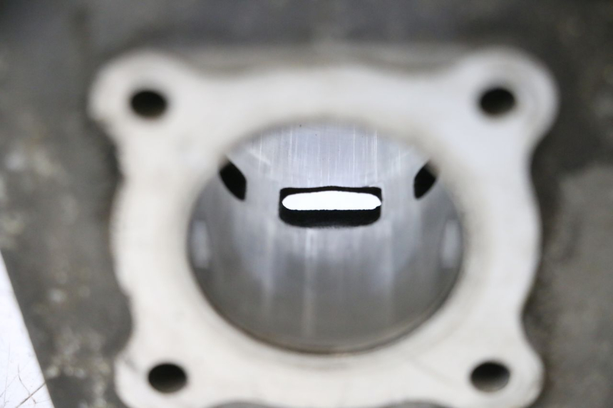 photo de CILINDRO PISTONE PEUGEOT LUDIX ONE 50 (2004 - 2013) - Primo piano tecnico