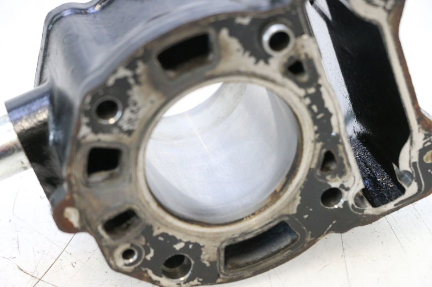 photo de CILINDRO PISTONE PIAGGIO MP3 125 (2006 - 2014) - Ricambio usato controllato