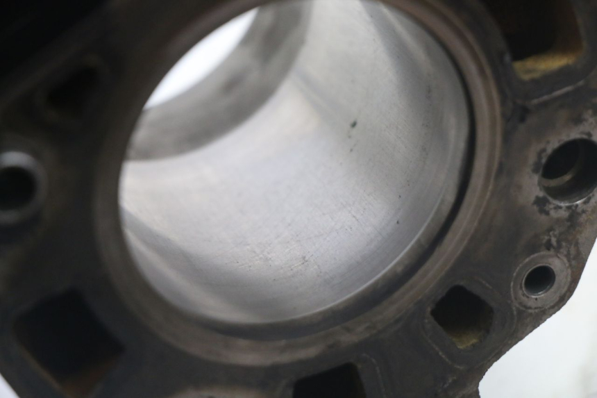 photo de CILINDRO PISTONE PIAGGIO X8 125 (2004 - 2007) - Zoom sui componenti