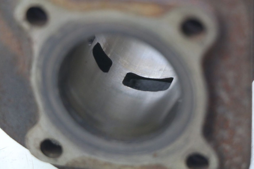 photo de CILINDRO PISTONE RIDE RACE GT 2T 50 (2012 - 2017) - Vista d'insieme del prodotto