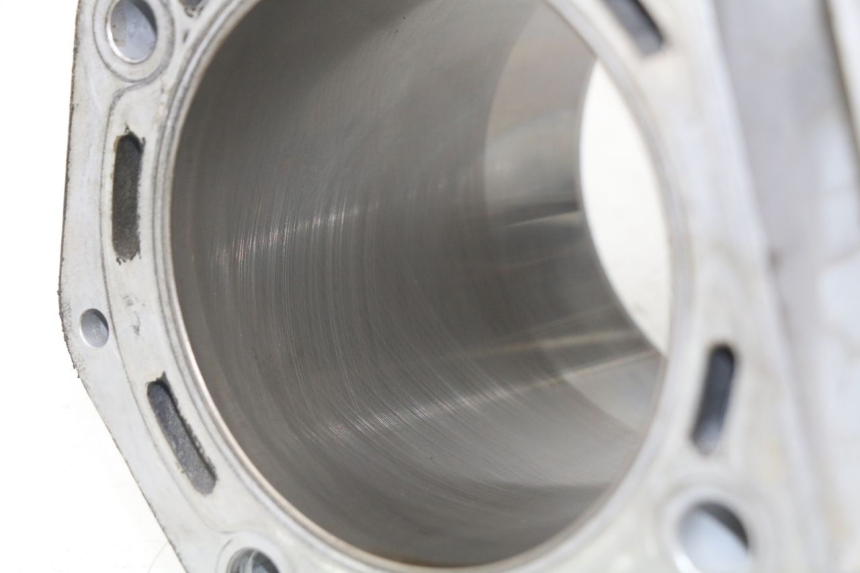 photo de CILINDRO PISTONE PEUGEOT SATELIS 500 (2007 - 2013) - Primo piano tecnico