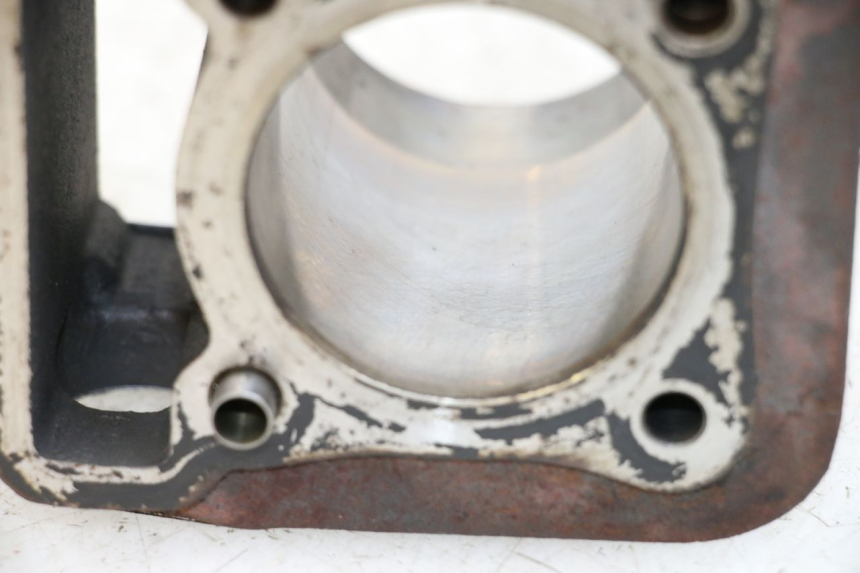 photo de CYLINDRO PISTONE APRILIA SCARABEO 100 (2003 - 2012) - Vista d'insieme del prodotto