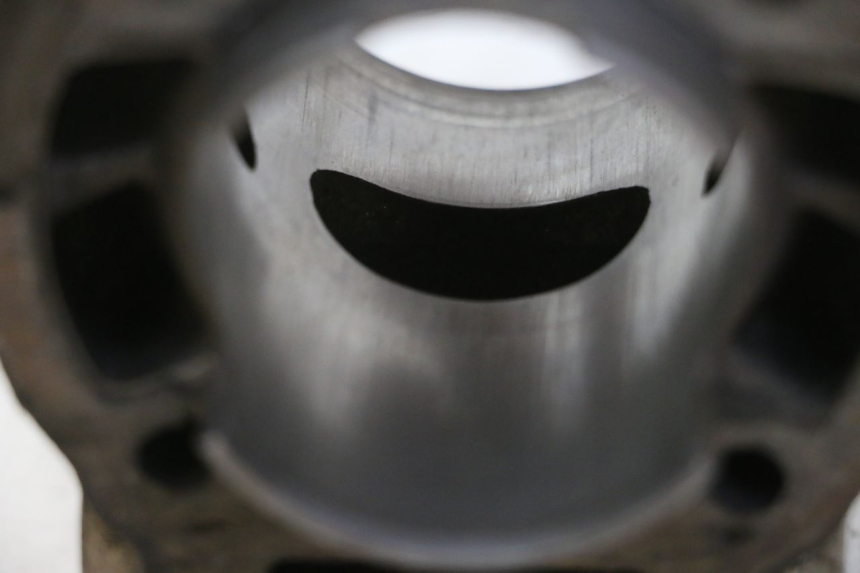 photo de CILINDRO PISTONE DERBI SENDA SM DRD 50 (2008 - 2013) - Primo piano tecnico