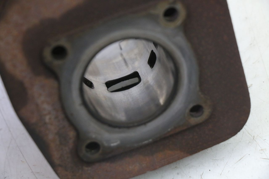 photo de CILINDRO PISTONE PEUGEOT SPEEDFIGHT 3 AIR 50 (2009 - 2015) - Caratteristiche distintive