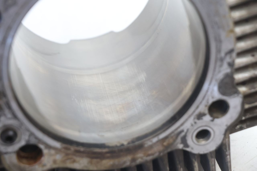 photo de CILINDRO PISTONE DUCATI SS IE DS CARENEE 1000 (2002 - 2006) - Focus sulla struttura