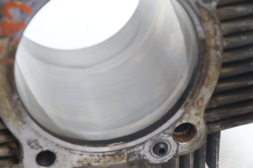 photo de CILINDRO PISTONE DUCATI SS IE DS CARENEE 1000 (2002 - 2006) - Panoramica del profilo