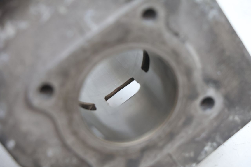 photo de CILINDRO PISTONE PEUGEOT TREKKER 50 (1995 - 2004) - Caratteristiche distintive