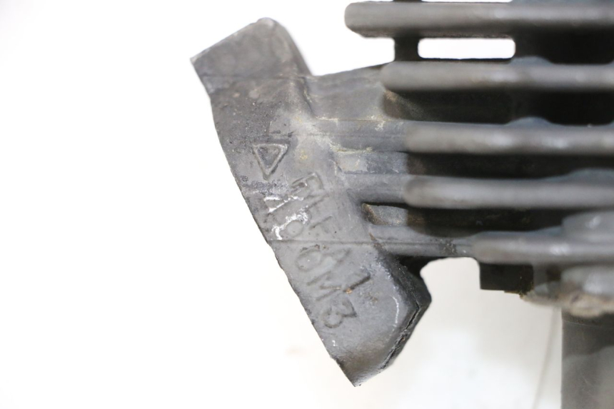 photo de CILINDRO PISTONE PEUGEOT TREKKER 50 (1995 - 2004) - Focus sulla struttura