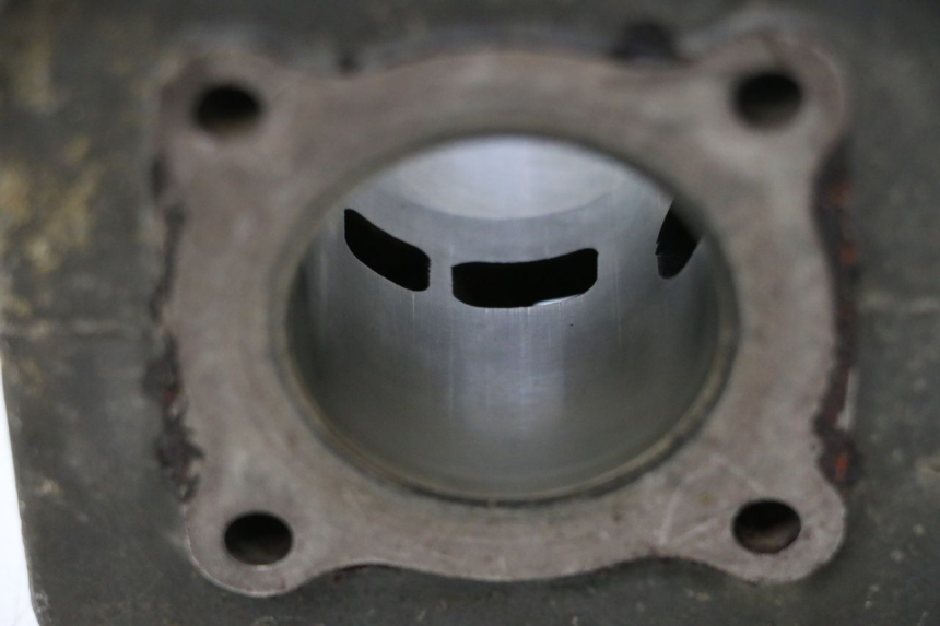 photo de CILINDRO PISTONE PEUGEOT TREKKER 50 (1995 - 2004) - Stato della superficie e materiale