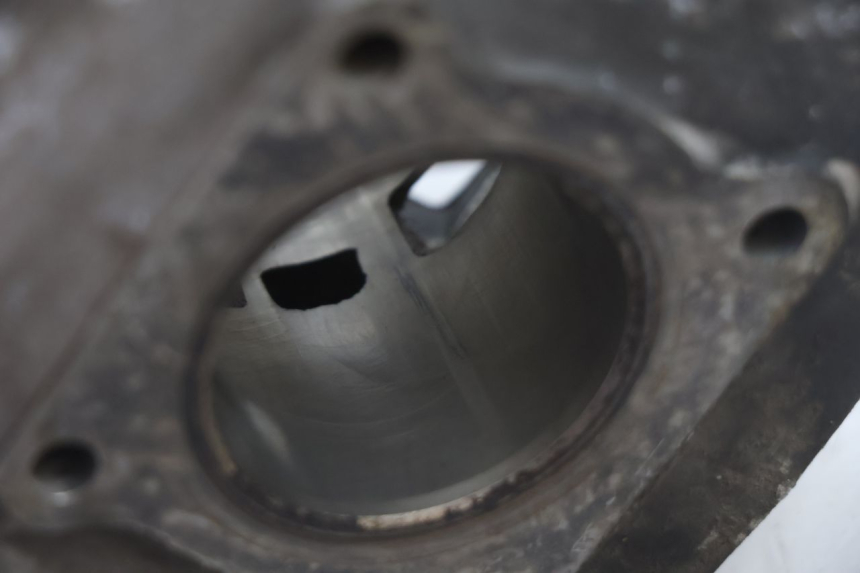 photo de CILINDRO PISTONE PEUGEOT TREKKER 50 (1995 - 2004) - Marcature e riferimenti originali