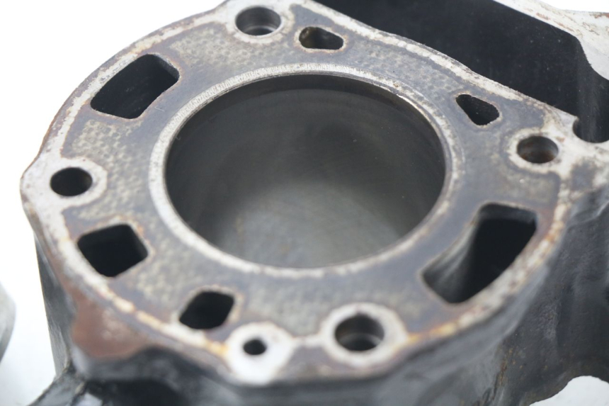 photo de CILINDRO PISTONE PIAGGIO X9 125 (2000 - 2003) - Zoom sullo stato d'uso