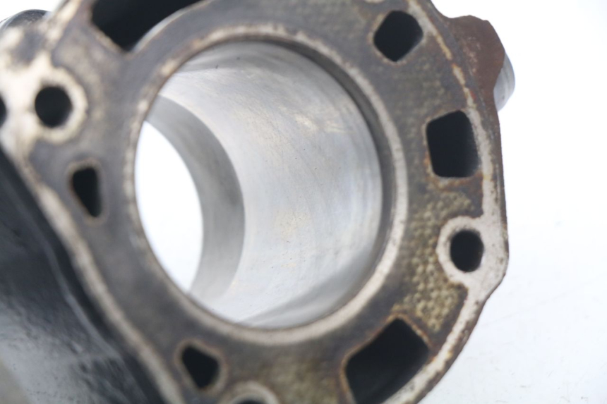 photo de CILINDRO PISTONE PIAGGIO X9 125 (2000 - 2003) - Primo piano tecnico