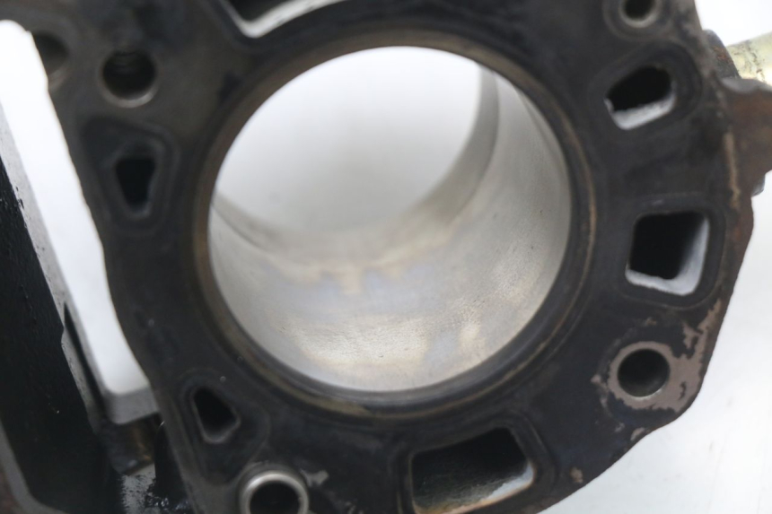 photo de CILINDRO PIAGGIO X8 125 (2004 - 2007) - Vista d'insieme del prodotto