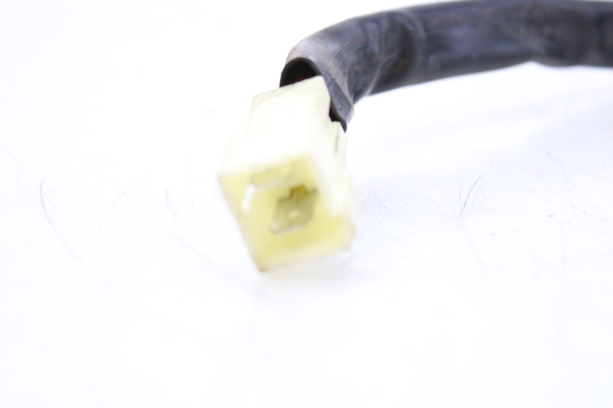 photo de AVVIATORE JM MOTORS EVOLIS 4T 50 (2018 - 2022) - Primo piano tecnico