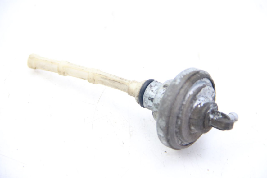 photo de DEPRESSIONE SERBATOIO DERBI BOULEVARD 50 (2009 - 2006) - Zoom sullo stato d'uso