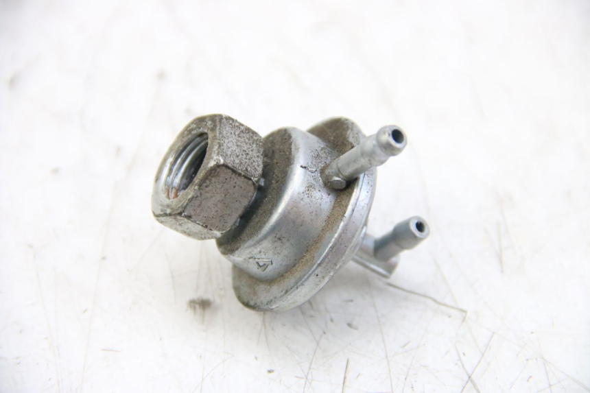 photo de DEPRESSIONE SERBATOIO IMF INDUSTRIE PACH 4T 50 (2009 - 2018) - Dettaglio del componente