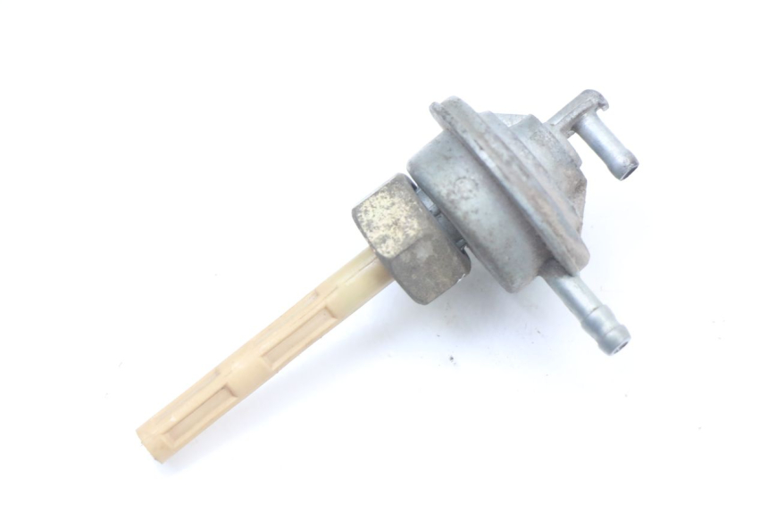 photo de Serbatoio di depressione BEELINE VELOCE 4T 50 (2011 - 2020) - Vista principale