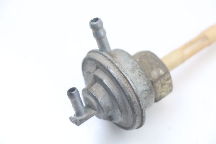 photo de Serbatoio di depressione BEELINE VELOCE 4T 50 (2011 - 2020) - Primo piano tecnico