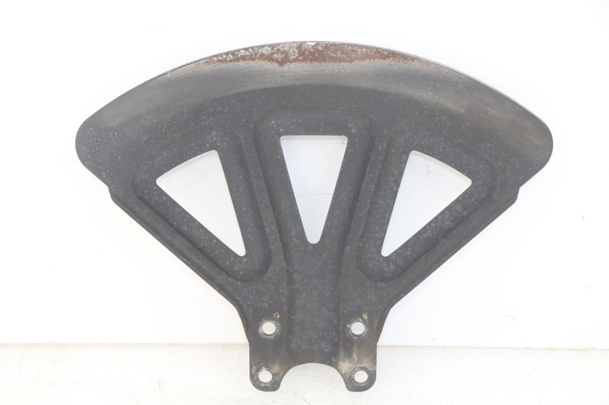 photo de DISCO FRENO ROLL LOCK PIAGGIO MP3 RL 250 (2006 - 2010) - Vista principale