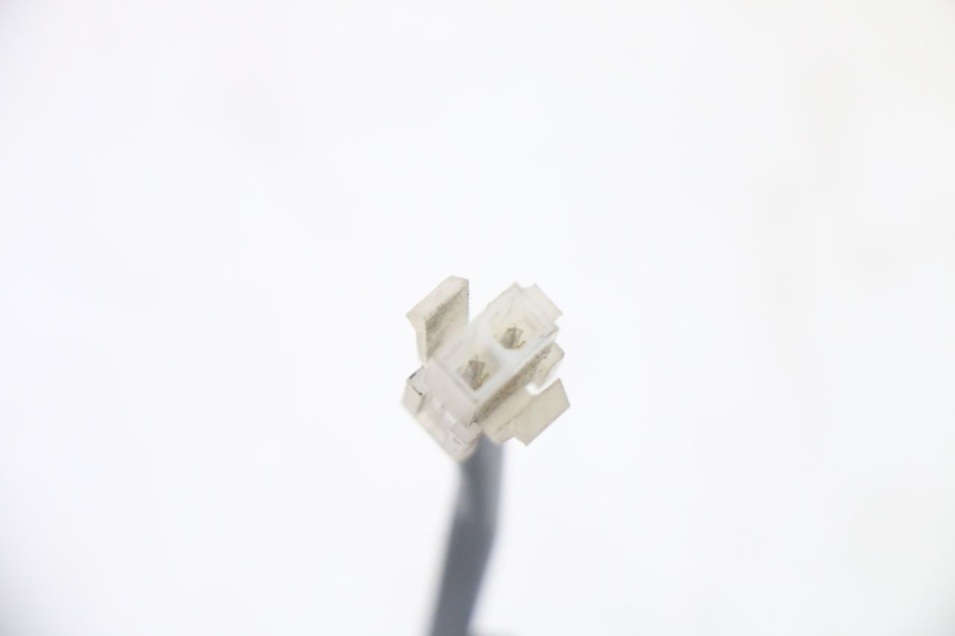 photo de ILLUMINAZIONE TARGA PEUGEOT CITYSTAR 50 (2013 - 2017) - Primo piano tecnico