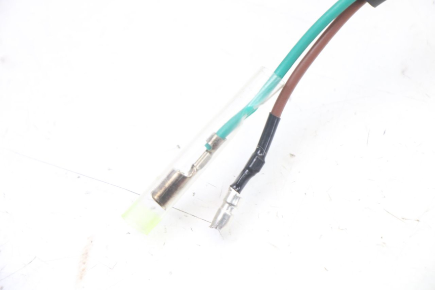 photo de LUCE TARGA PEUGEOT TWEET 4T 50 (2023 - 2025) - Vista d'insieme del prodotto